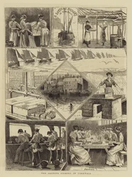 De sardinevisserij in Cornwall